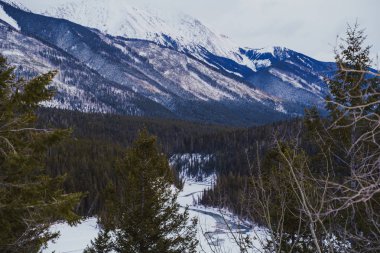 Kootenay Milli Parkı British Columbia Kanada'da bulunan Hector Gorge kış görünümünde