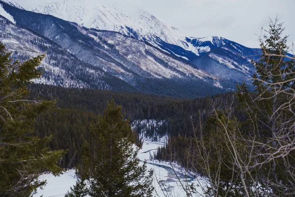 Зимова Погляд Гектор Ущелини Kootenay Національний Парк Розташований Британській Колумбії — стокове фото