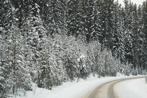 Kurvenreiche Straße Durch Eine Wunderschöne Winterlandschaft Entlang Des Banff National — Stockfoto