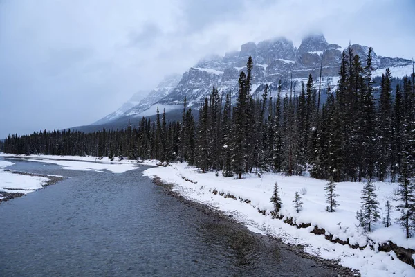 在加拿大阿尔伯塔省的冬季雪灾中 班夫国家公园的弓河的美丽雪景 — 图库照片