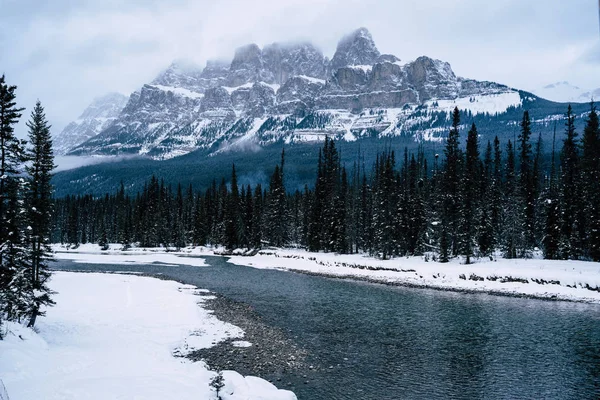 Сніжне Чаруючим Річки Боу Banff Національний Парк Під Час Взимку — стокове фото