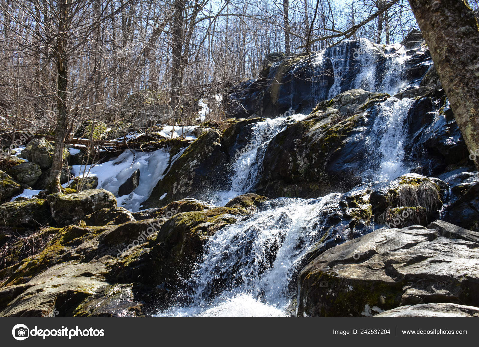 Springtime Dark Hollow Falls Waterfall Located Shenandoah National - Main Image