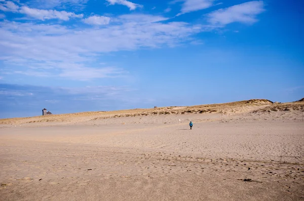 Senderista Solitaria Playa Camina Sola Arena Cape Cod National Seashore —  Fotos de Stock