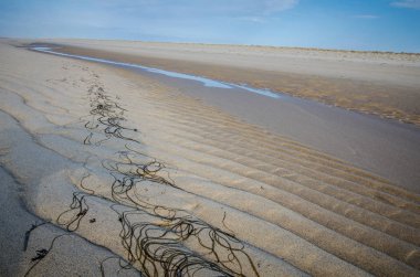 Güzel kum dalgaların ve saf ırk noktası plajda, Cape Cod Milli Seashore gece karanlığında dalgalar