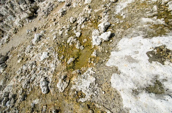 Tufa Torre Formações Mono Lake Leste Califórnia Sierra Localizado Saída — Fotografia de Stock