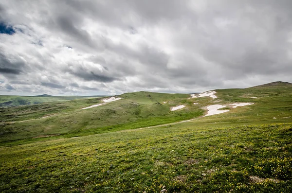 Krásná Tundra Letním Dni Monaně Sníh Zemi Skvrnami — Stock fotografie