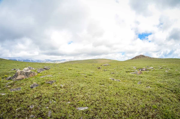 Green tundra with negative space along the Beartooth Highway in Montana