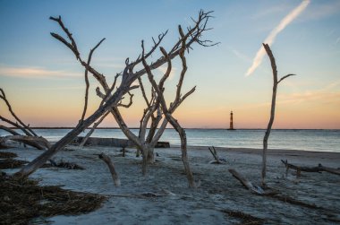 Morris Island Lighthouse in the distance, framed by bare trees at sunset, located in Folly Beach South Carolina. clipart