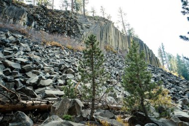 Devils Postpile Ulusal Anıt sabah ışık