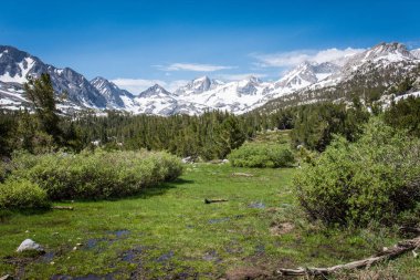 Bataklık sulak California, John Muir iz küçük Lakes Valley kalp göl Mono County boyunca Doğu Sierra Nevada dağlarında.