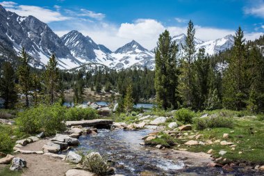California, John Muir iz küçük Lakes Valley kalp göl Mono County boyunca Doğu Sierra Nevada dağlarında küçük dere.