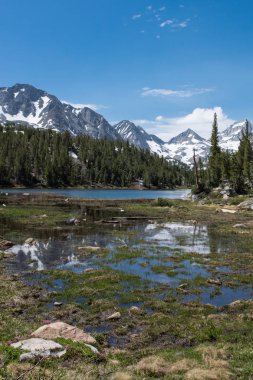 California, John Muir iz küçük Lakes Valley kalp göl Mono County boyunca Doğu Sierra Nevada dağlarında küçük dere.