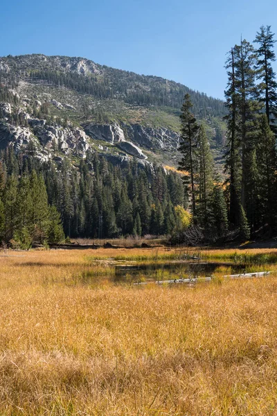 秋の紅葉は マンモス レイク カリフォルニア州 Sotcher 湖の一部がバック グラウンドで非表示 シエラ ネバダ デビルズ — ストック写真