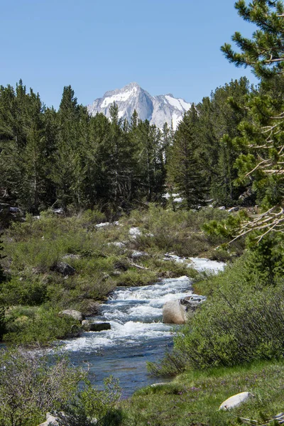 Kleiner Bach Östlichen Sierra Nevada Gebirge Kalifornien Entlang Des John — Stockfoto