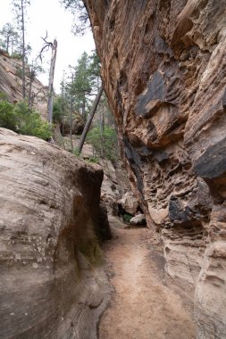 Gizli Kanyon iz bir bulutlu yaz gününde Zion National Park için yapılan zammı. Zammı dik damla off zincirlerle özellikleri