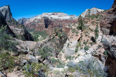 Zion National Park Kanyon gözlem noktası yolun Utah üzerinden görünümünü fisheye geniş açı