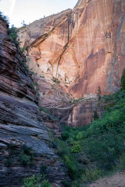 峡谷沿着锡安国家公园的观察点小道 高耸的砂岩悬崖 — 图库照片
