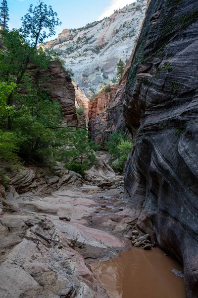 Kanyon Boyunca Gözlem Noktası Yolun Zion National Park Utah Üzerinden — Stok fotoğraf