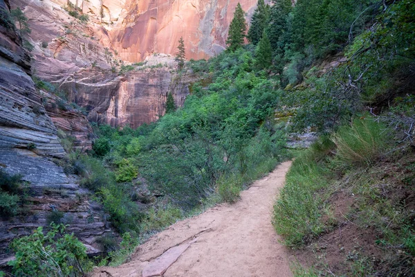 Ponto Observação Trilha Caminhadas Parque Nacional Zion Utah — Fotografia de Stock