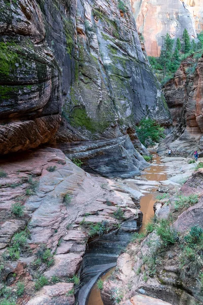 Kaygan Kumtaşı Kanyon Duvarları Gözlem Noktası Hiking Trail Zion National — Stok fotoğraf