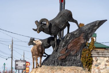 Radyum Kaplıcalar, British Columbia, Kanada - Janurary 20, 2019: Karışık bighorn koyun bebeğim ewe standları bir heykel Bighorn koyun, karışık, hayvanlar gerçek düşünme üzerine.