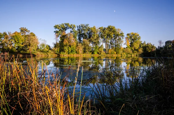 Piękna Jesień Jesień Scena Parku Lake Medicine Plymouth Minnesota Bagna — Zdjęcie stockowe