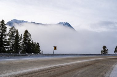 Kanada karayolu 93 Banff-Windermere yolu boyunca tecavüz sis