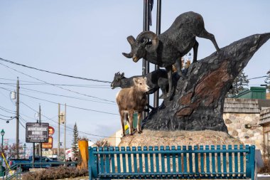 Radium Hot Springs, British Columbia, Canada - Janurary 20, 2019: A confused bighorn sheep baby ewe stands on top of a statue of Bighorn sheep, confused, thinking the animals are real. clipart
