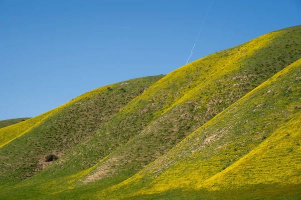 Rolling colline di Carrizo Pianura Monumento Nazionale sono coperti di fiori selvatici — Foto Stock