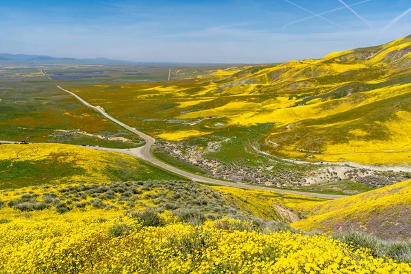 Pohled na Národní památník Carrizo Plain během Kalifornie — Stock fotografie