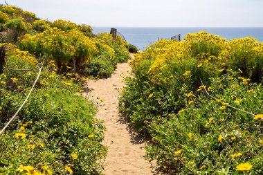 Malibu California Point Dume bir blöf kadar yol açar. Gı