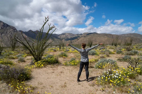 Žena stojí v Anza Borrego Desert State Park, čelí horám — Stock fotografie