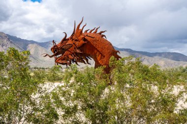 Borrego Springs, Kaliforniya - 21 Mart 2019: Dev deniz yılanı
