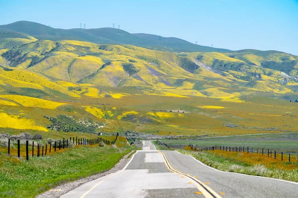Leading lines of Highway 58 going through Carrizo Plain National