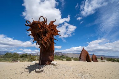 Borrego Springs, Kaliforniya - 21 Mart 2019: Dev deniz yılanı