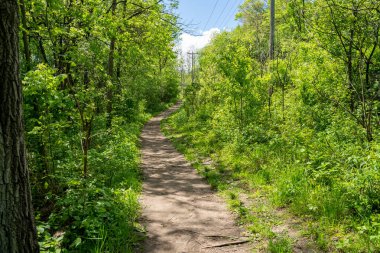 Red Wing Minnesota Kir yürüyüş parkuru, Barn Bluff hikin at