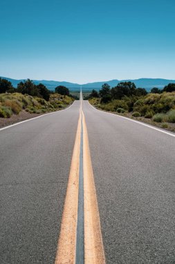 Boş çöl yolu, Neva Beyaz Dağları 'na bakıyor