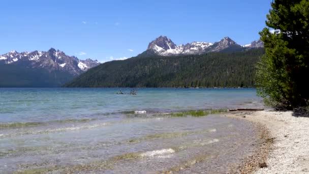 Waves Lap Shore Beach Redfish Lake Stanley Idaho Sawtooth Mountains — Stock Video