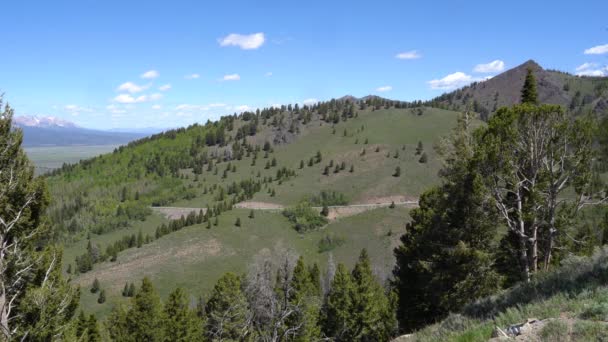 Galena Toppmötet Frank Church Wilderness Sawtooth Mountains Idaho Längs Riksväg — Stockvideo
