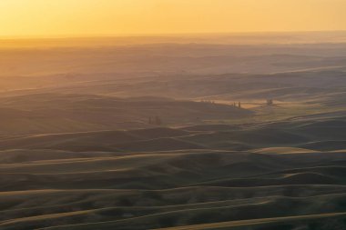 Doğu 'nun Palouse bölgesinin altın saat günbatımı havadan görünümü 