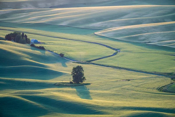 Bela vista aérea da região de Palouse de Washingto Oriental — Fotografia de Stock