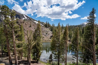 Kaliforniya 'da Tioga Pass boyunca Ellery Gölü güzel görünümü 