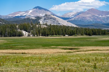 Famous view of Tuolumne Meadows in Yosemite National Park on a s clipart