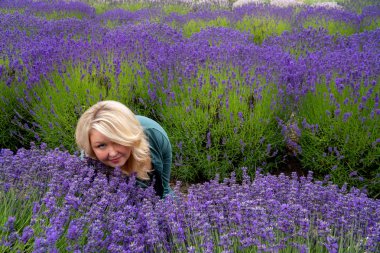 O kokluyor gibi bir lavanta alanında oturan sarışın kadın bakıyor 