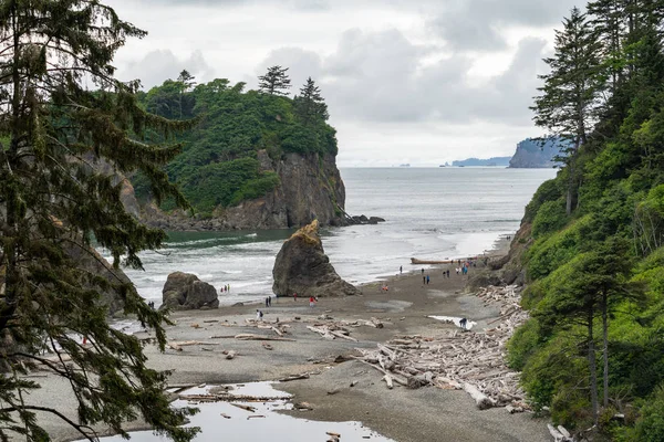 Den přetypování v Ruby Beach v Olympijském národním parku v Washingto — Stock fotografie