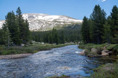 Güneşli bir yaz gününde Yosemite Ulusal Parkı'nda Dana Fork Nehri 