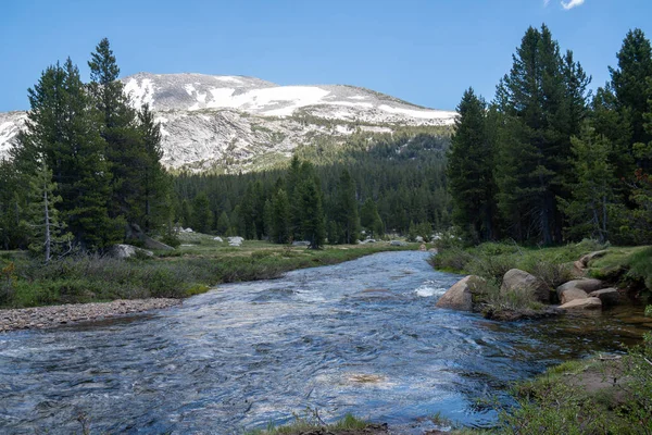 Dana fork river im yosemite nationalpark an einem sonnigen sommertag — Stockfoto