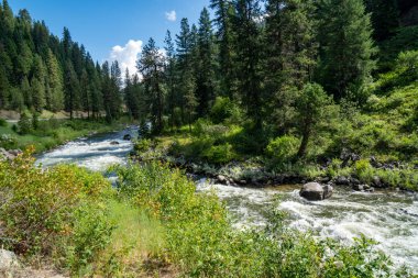 Idaho azgın Payette Nehri, karayolu 55 boyunca. 