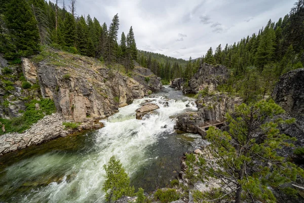 Cascada Dagger Falls en Idaho en la F Nacional Salmón-Challis — Foto de Stock