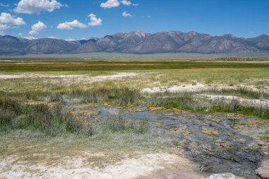 Hot springs (Wild Willys) Mammoth Lakes California, ile 